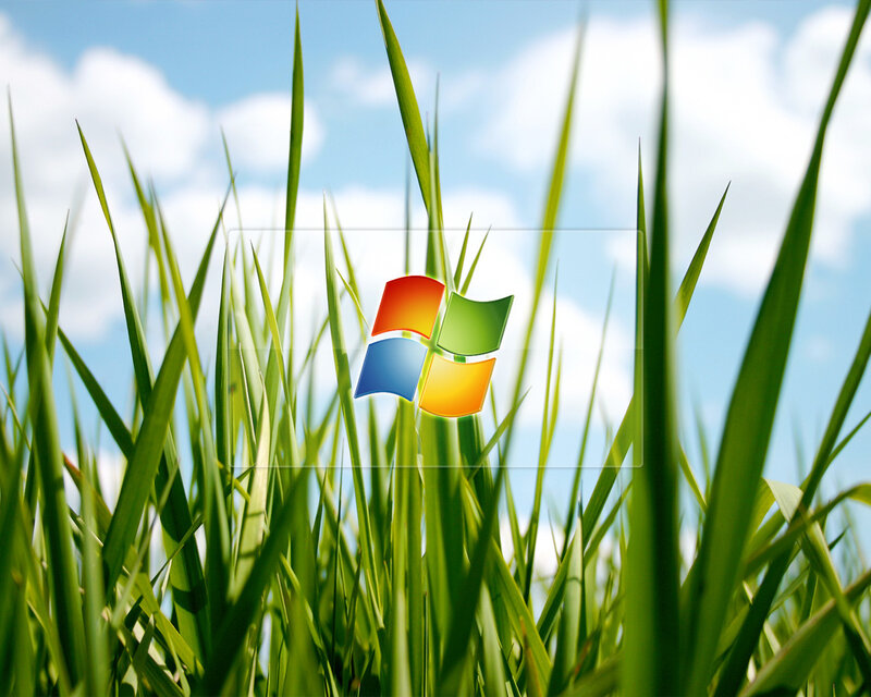 Windows logo in grass