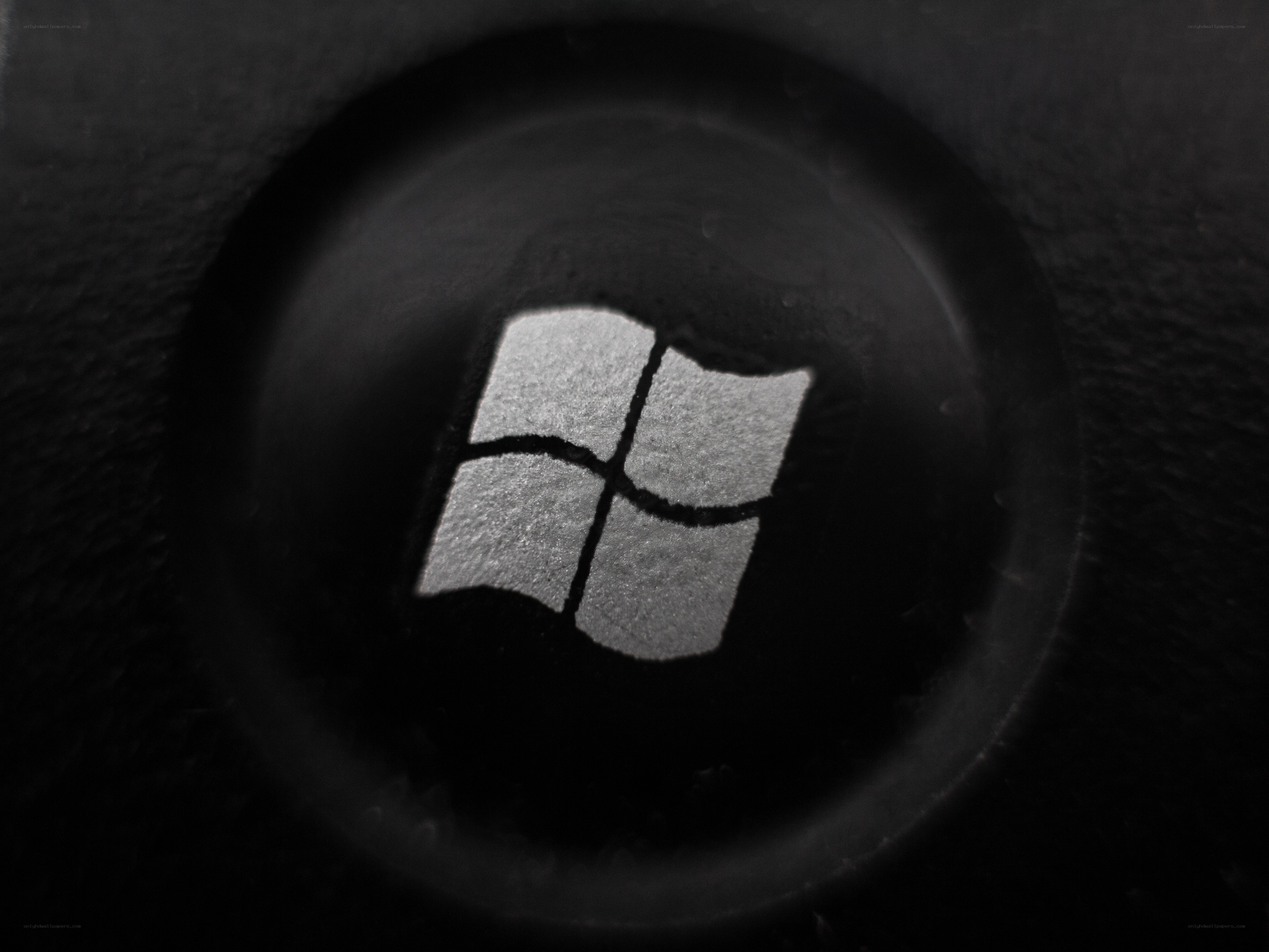 Windows logo on a button