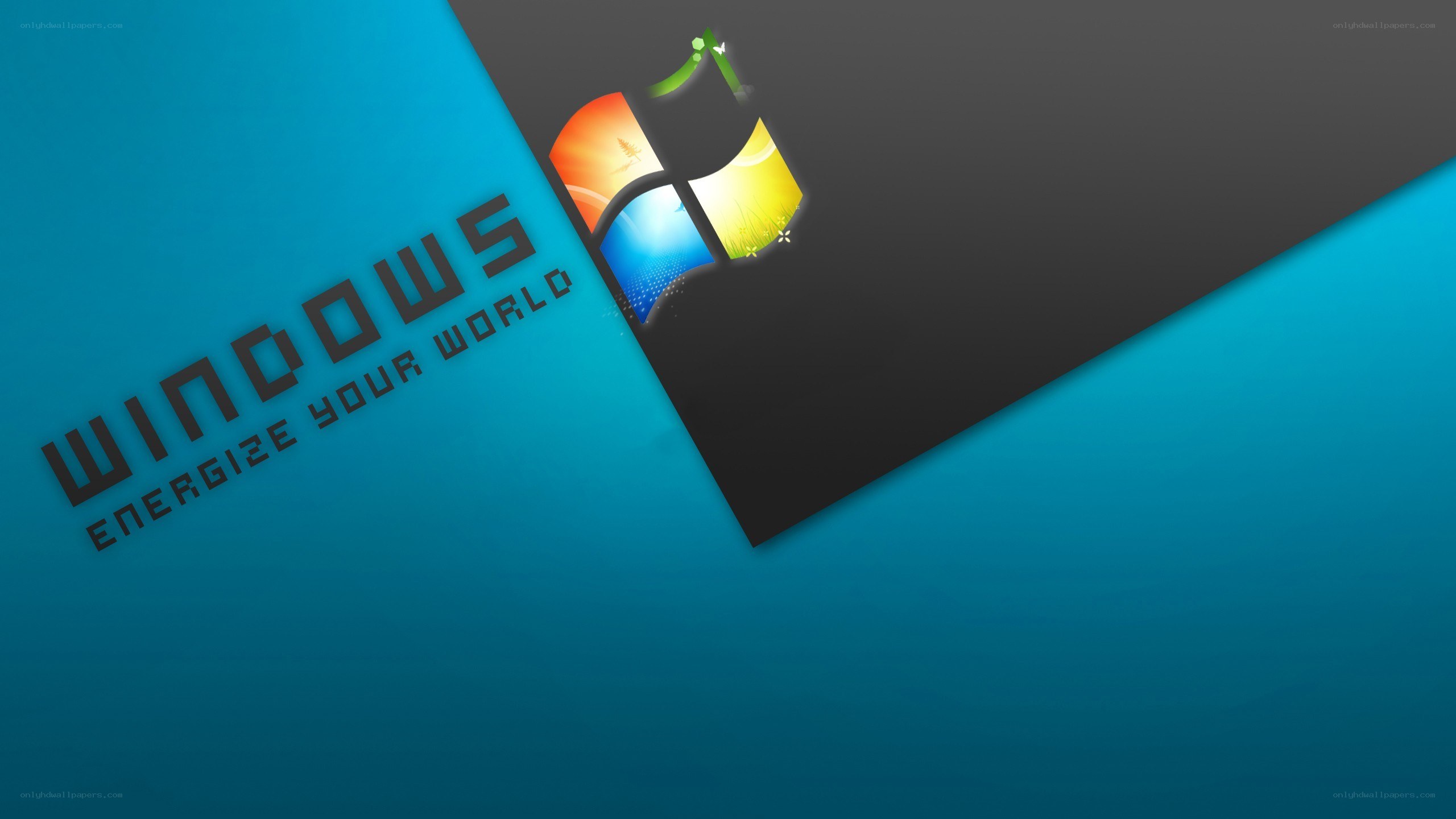 Windows logo on blue background