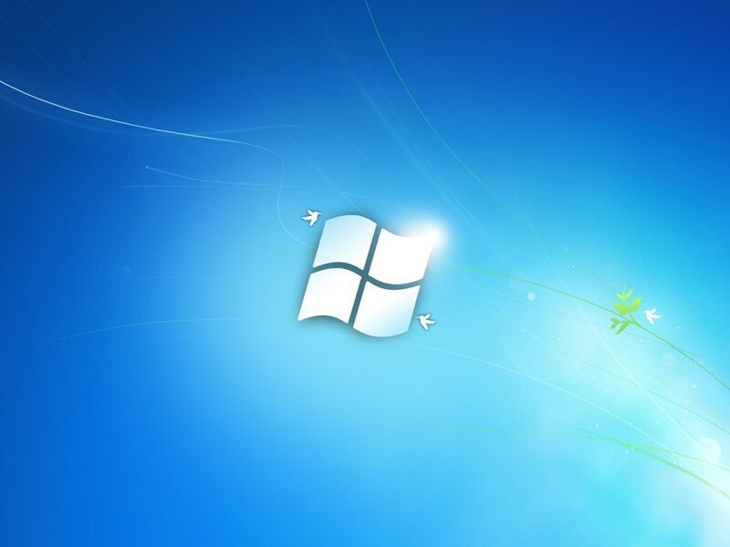 Windows Logo on Blue Background — Serene, Digital Art, Birds, Plant