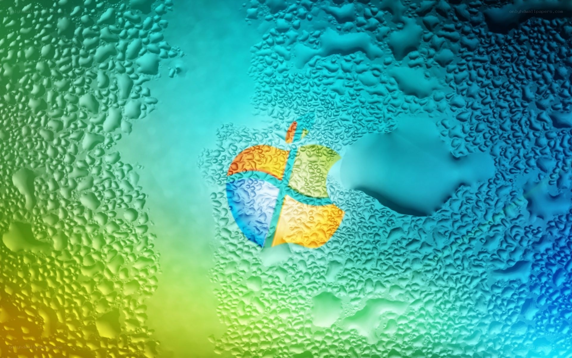 Windows logo on condensation
