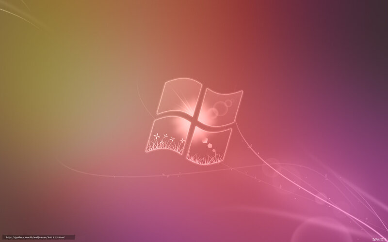 Windows Logo on Gradient — Pink