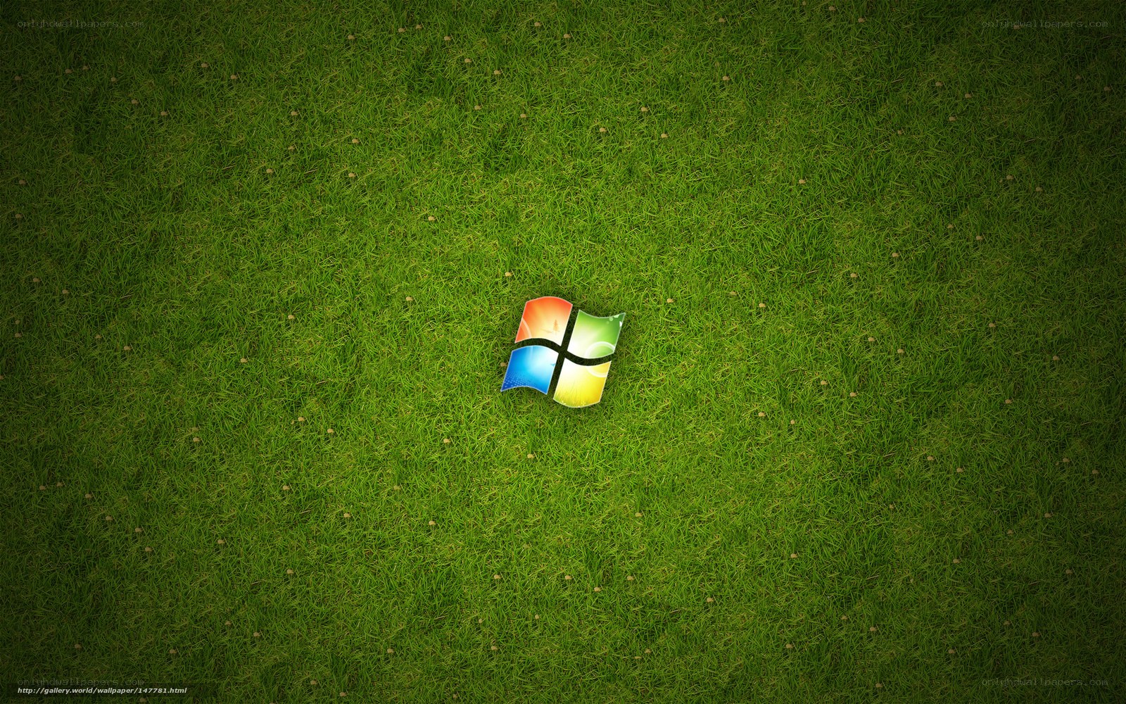 Windows logo on grass