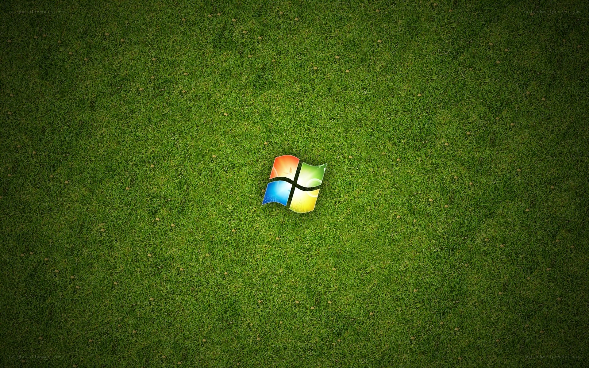 Windows logo on grass