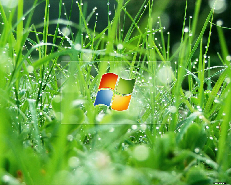 Windows logo on grass
