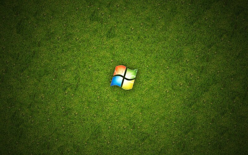 Windows logo on grass