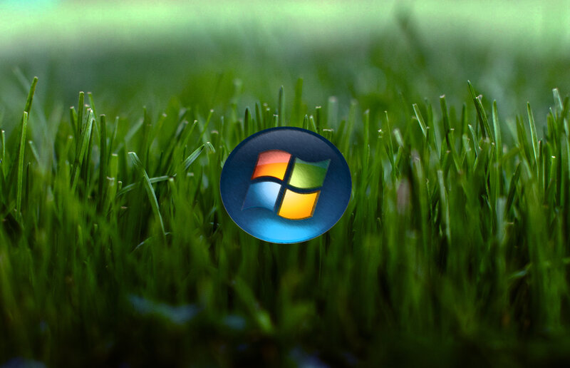 Windows logo on grass