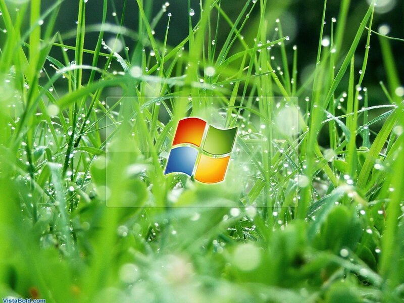 Windows logo on grass