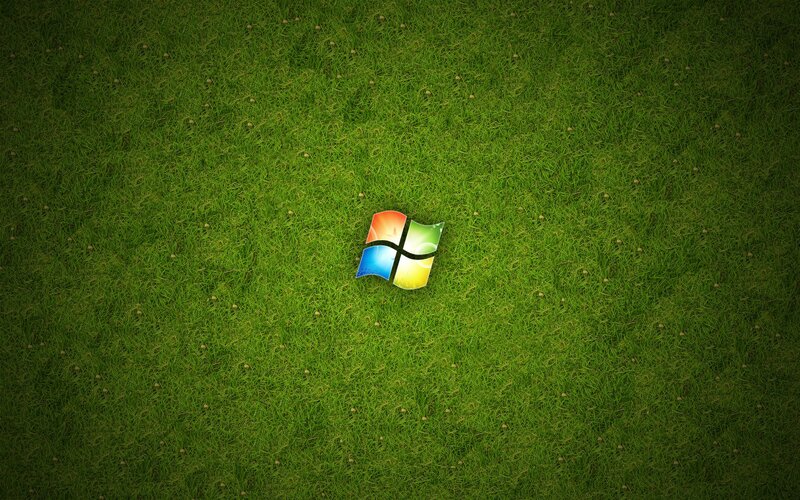 Windows Logo on Grass — Green, Serene