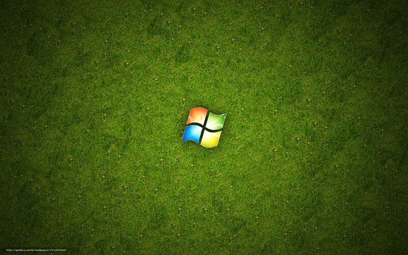 Windows logo on grass