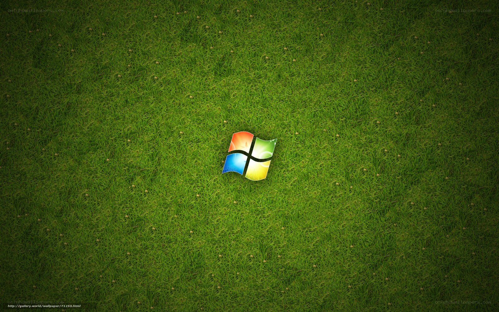Windows logo on grass