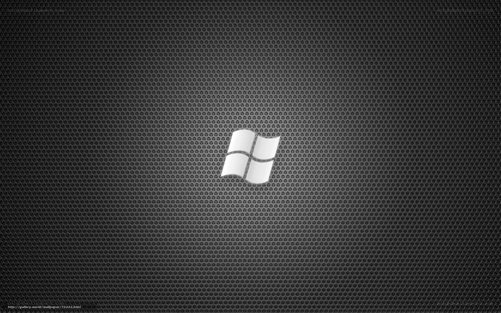 Windows logo on mesh background