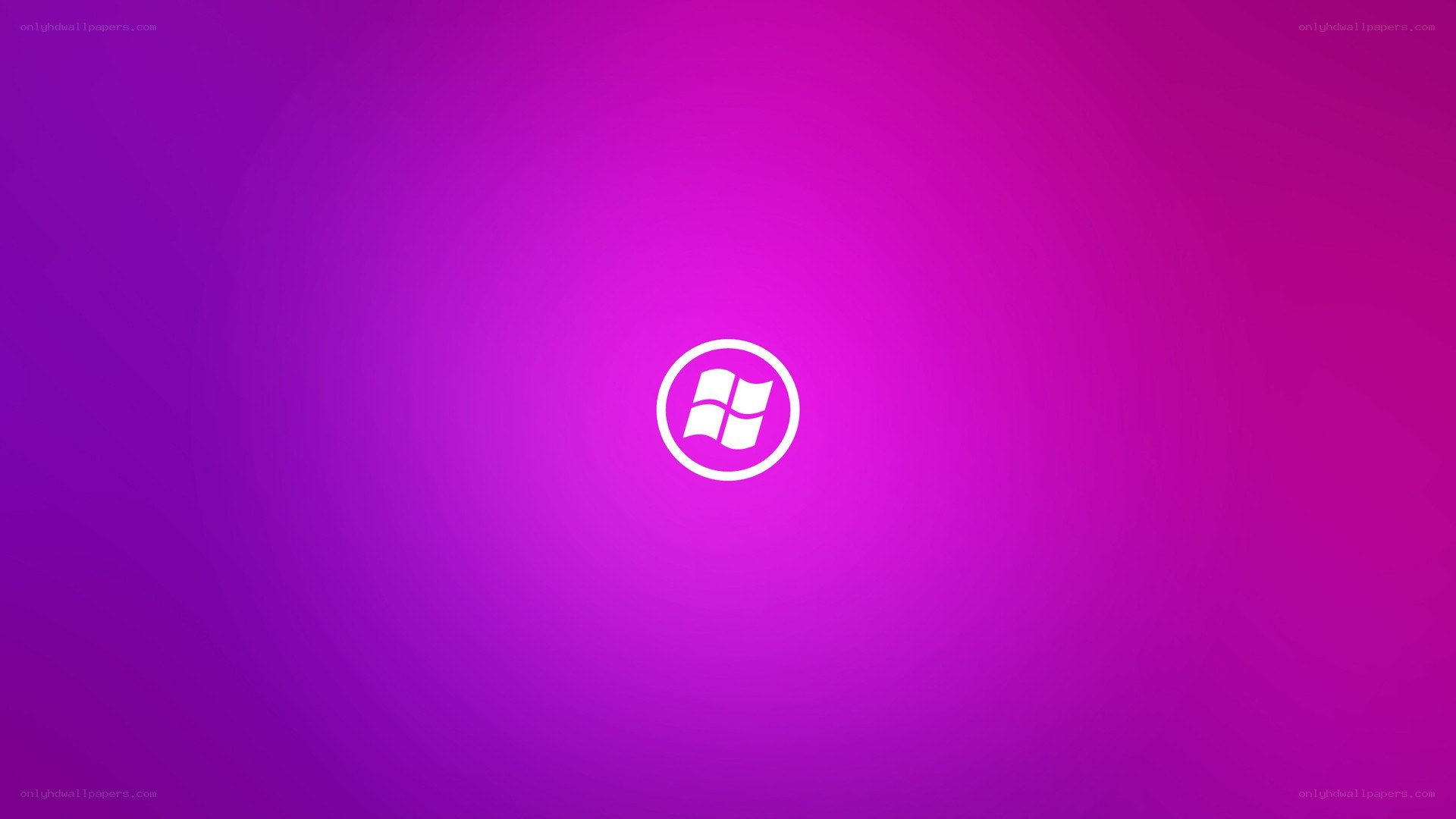 Windows logo on purple gradient