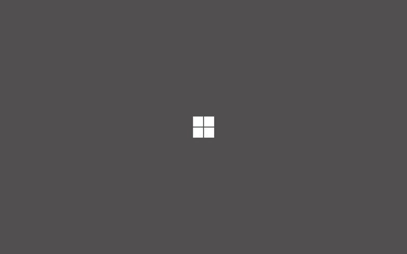 Windows Logo on Screen — Gray, Neutral