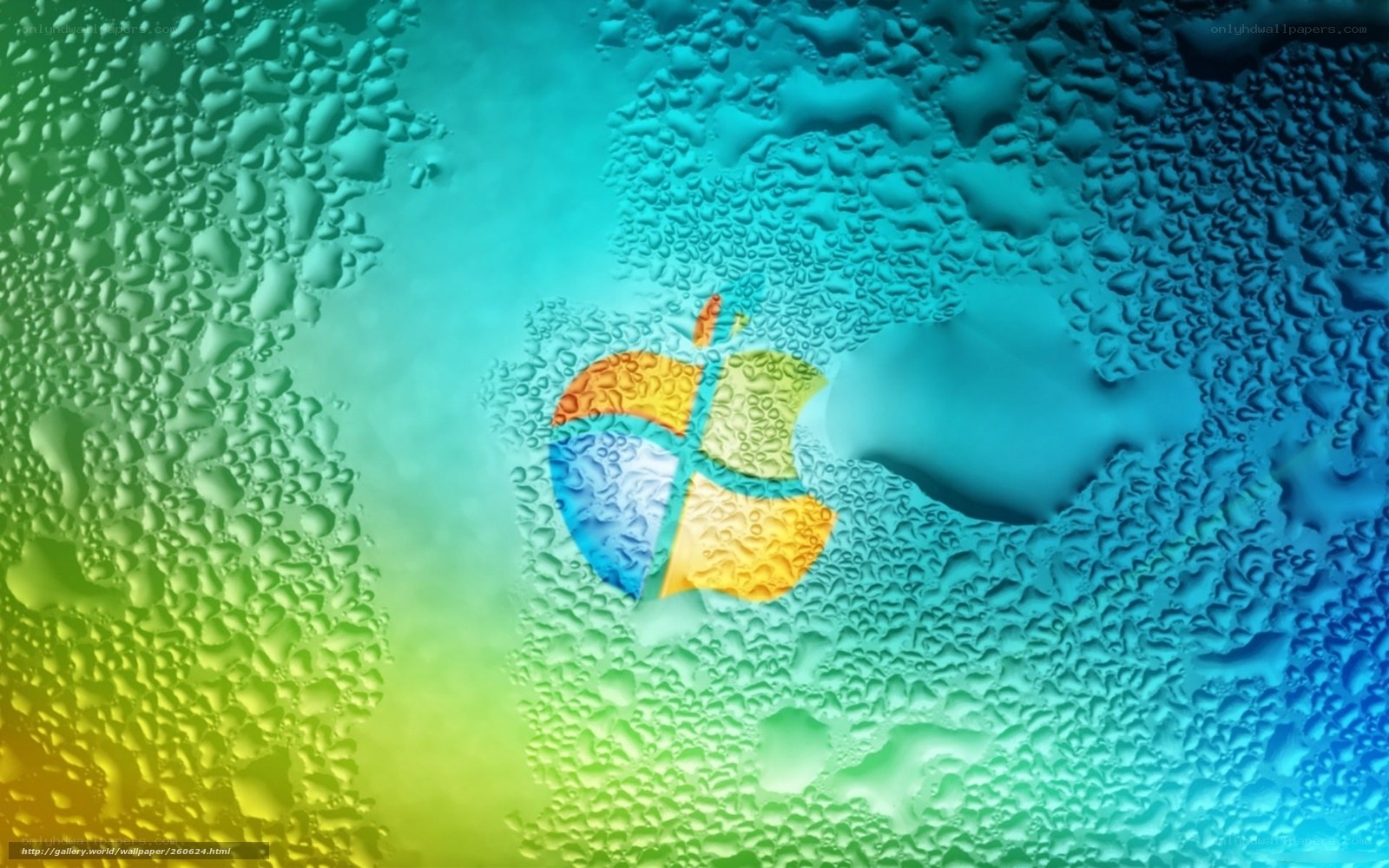 Windows logo on water droplets