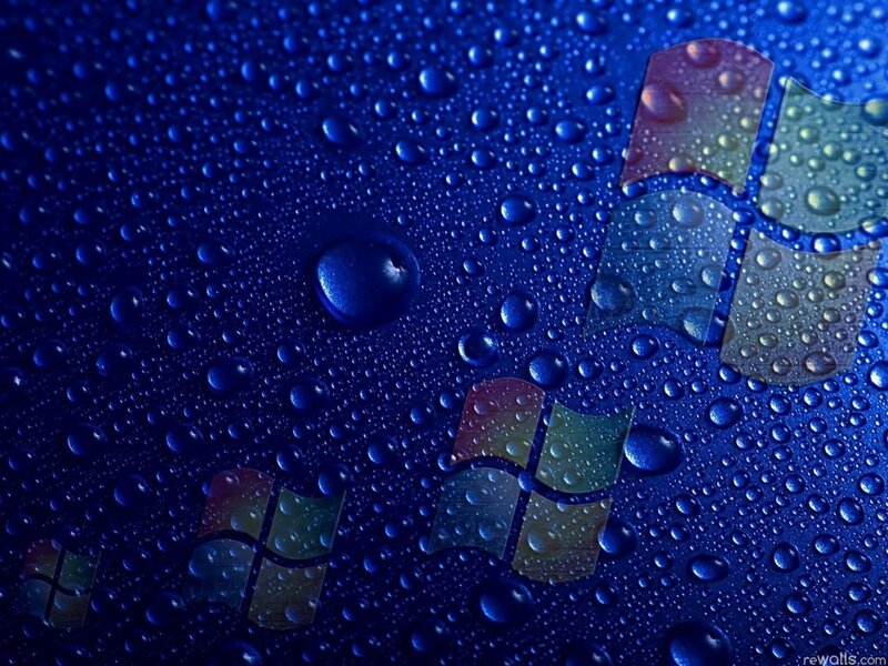Windows Logo on Wet Surface