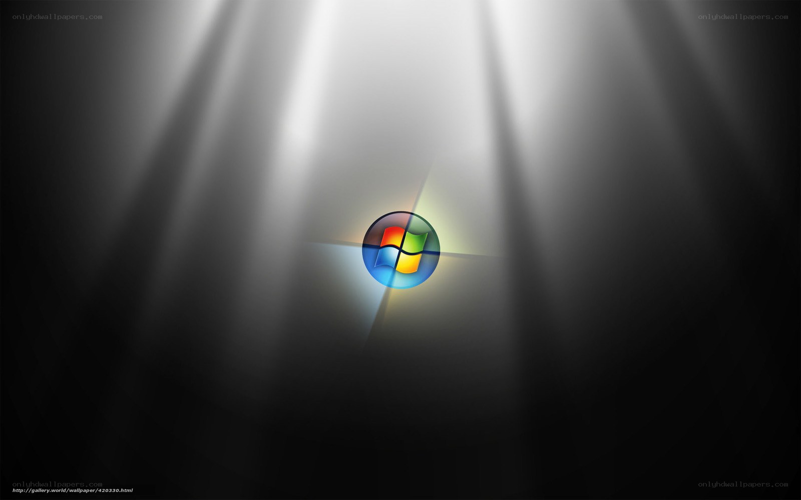 Windows logo under spotlight