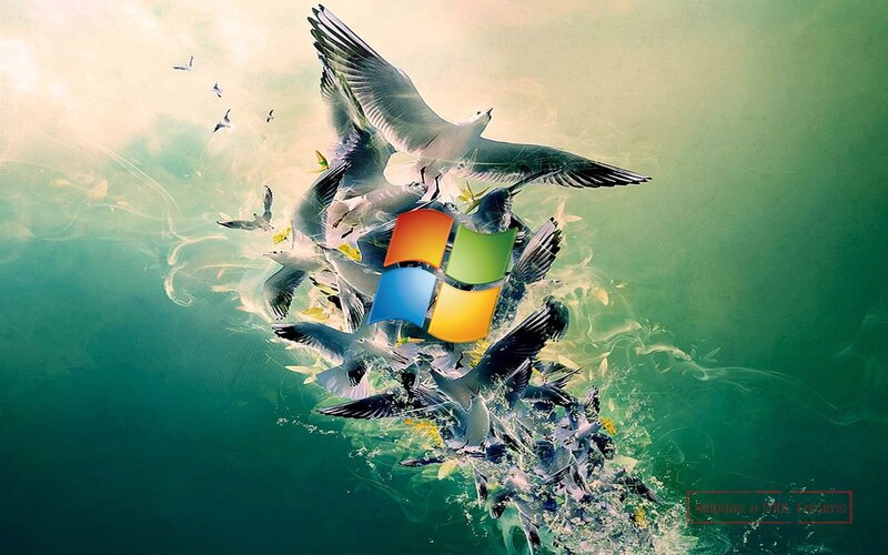 Windows logo with birds
