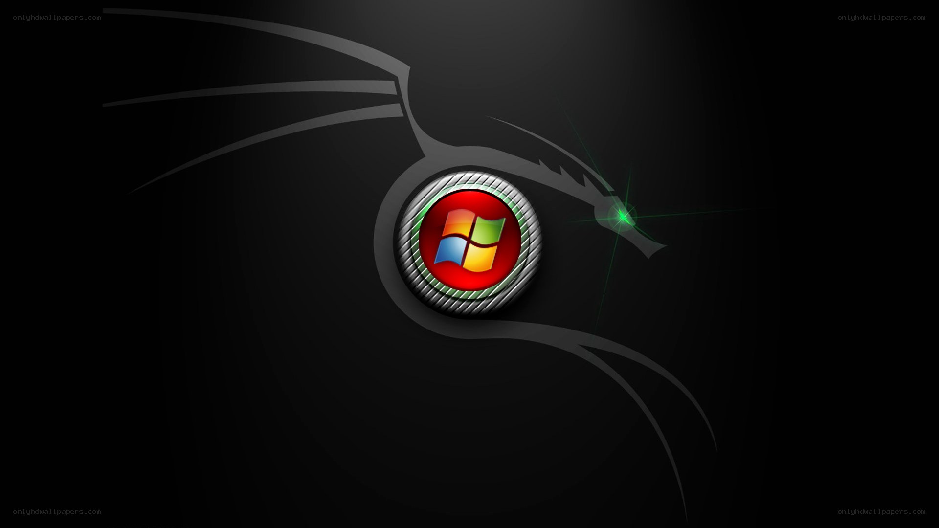 Windows logo with dragon design