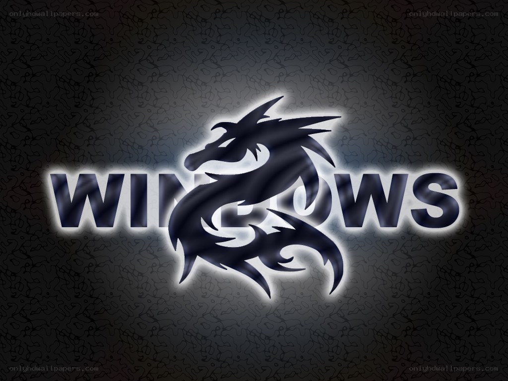 Windows logo with dragon design