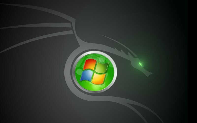 Windows logo with dragon
