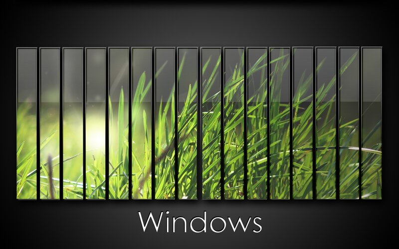 Windows logo with grass background