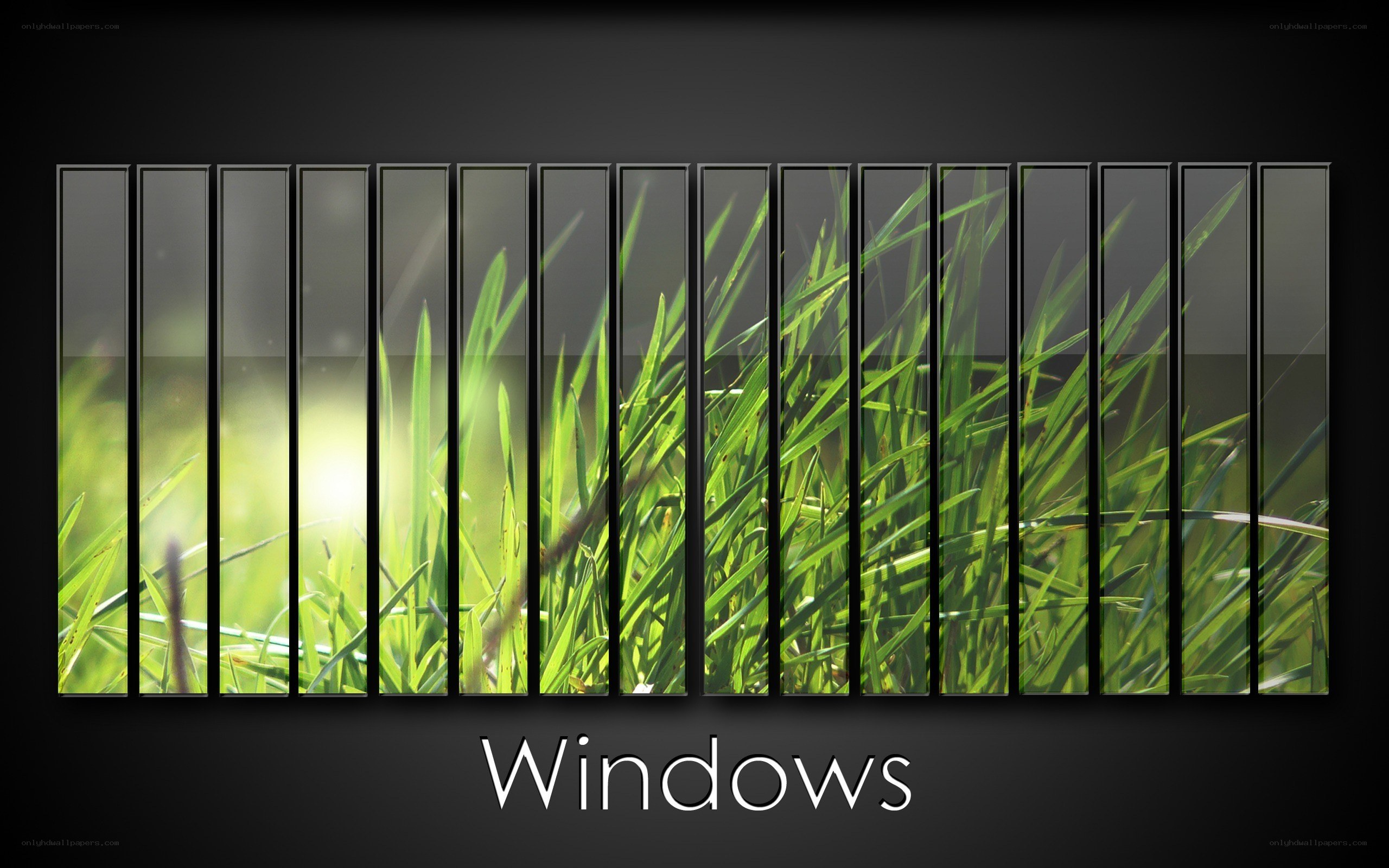 Windows logo with grass background