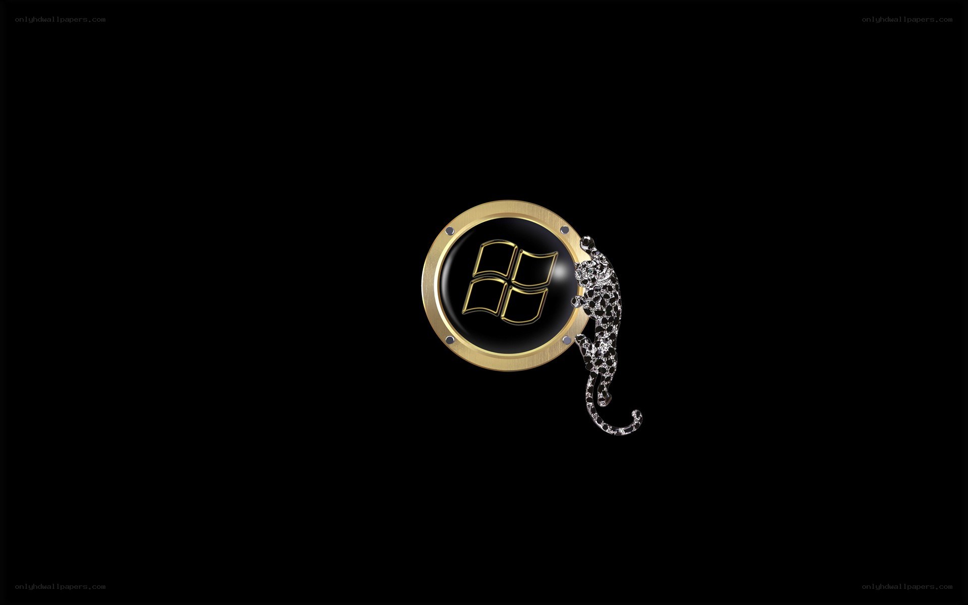 Windows logo with leopard