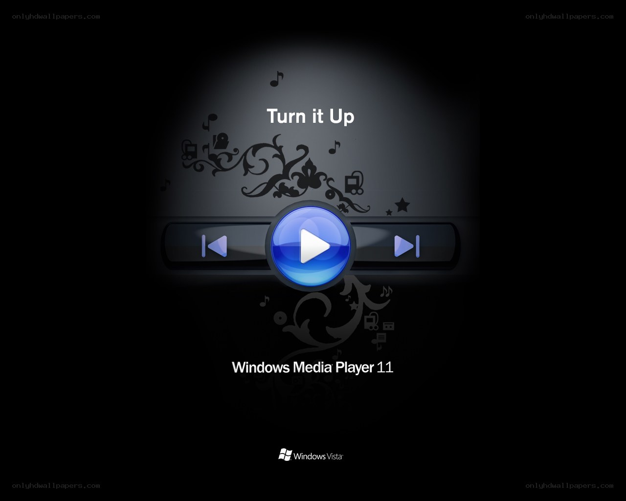 Windows Media Player 11 startup