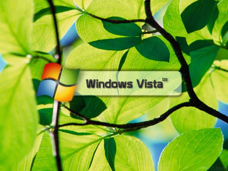 Windows Vista Logo — Green