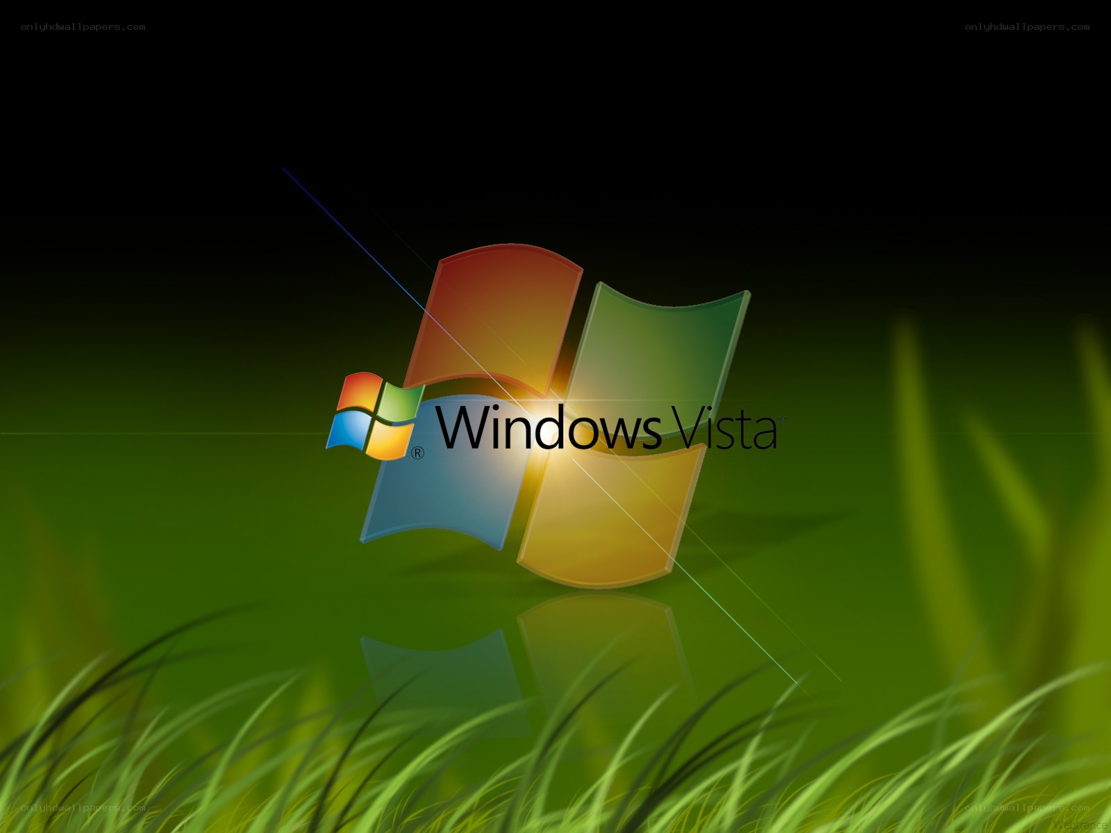 Windows Vista logo on grass