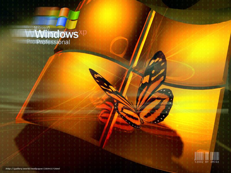 Windows XP butterfly wallpaper