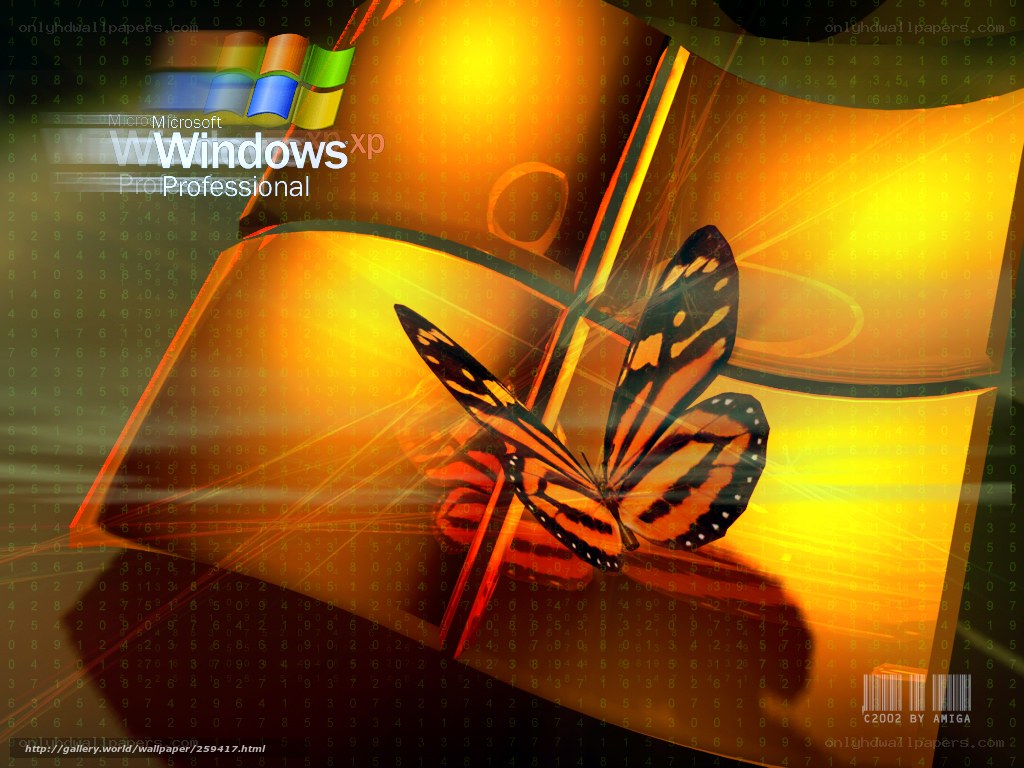 Windows XP butterfly wallpaper