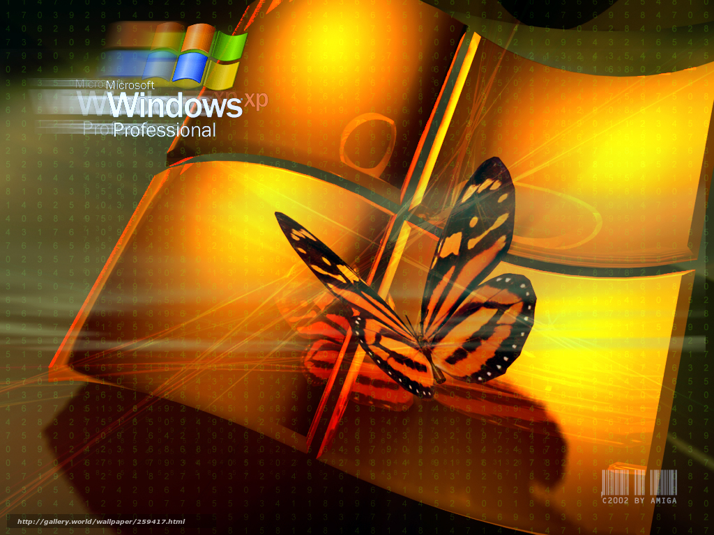 Windows XP butterfly wallpaper