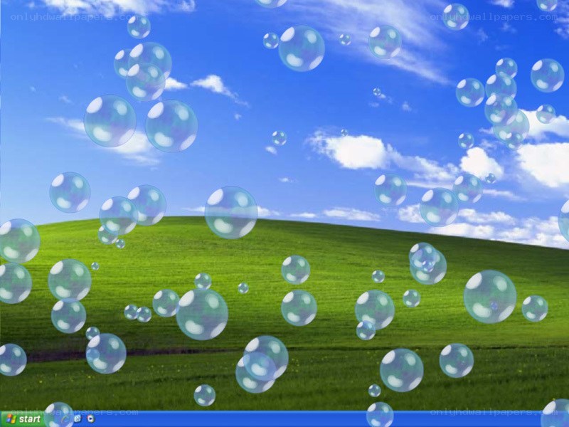 Windows XP default wallpaper