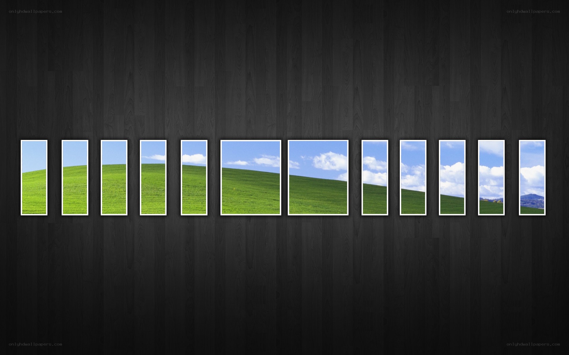 Windows XP default wallpaper collage