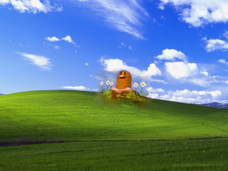 Windows XP default wallpaper with character