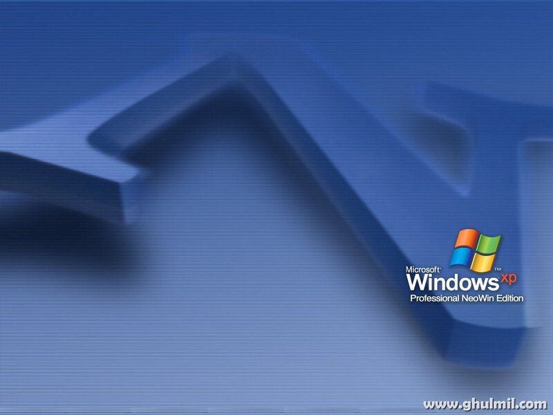 Windows XP Logo — Blue, Professional
