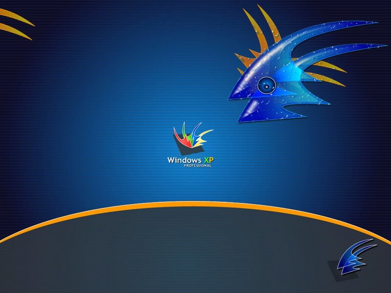 Windows XP Logo — Blue, Technological, Digital Art