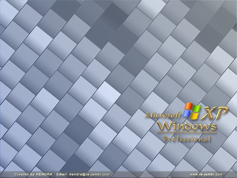 Windows XP Logo — Gray, Professional