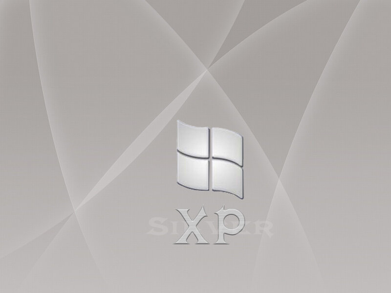 Windows XP Logo — Gray