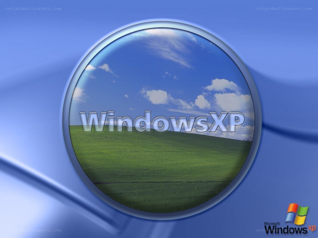 Windows XP logo on blue background