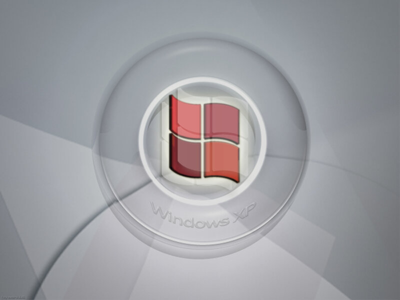 Windows XP logo on glass