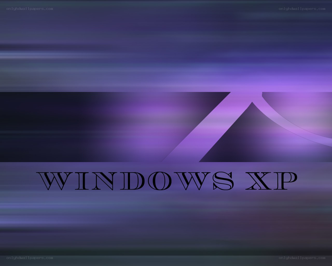 Windows XP logo on purple background