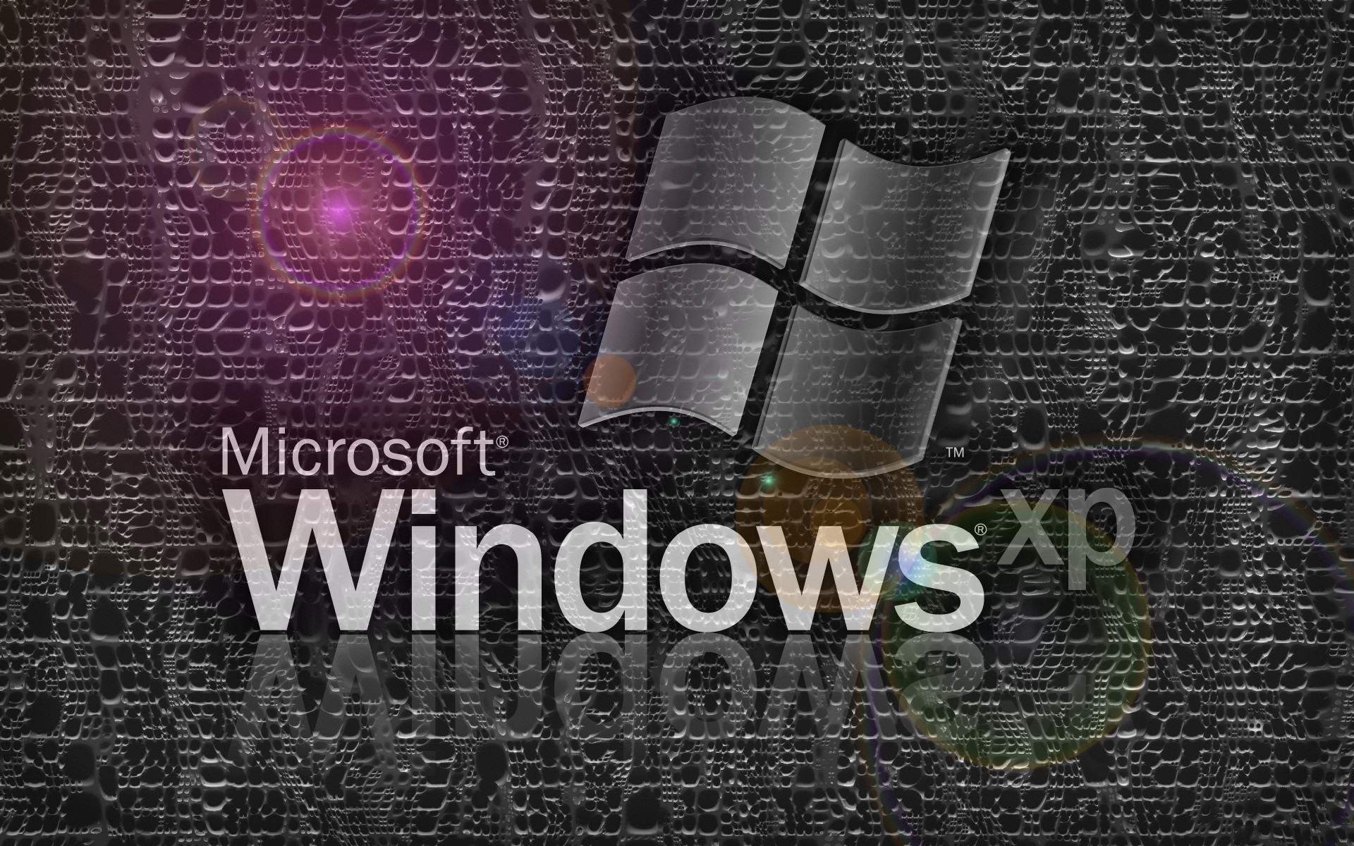 Windows XP logo on textured background