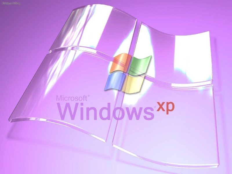 Windows XP Logo — Purple