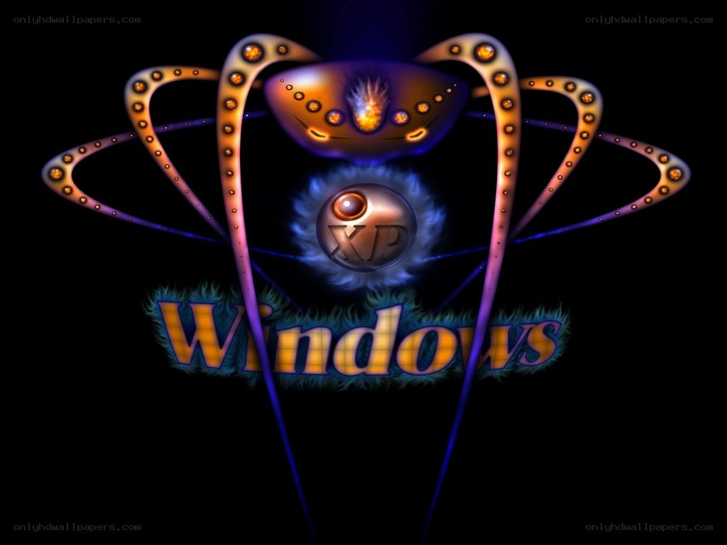 Windows XP logo with artistic design