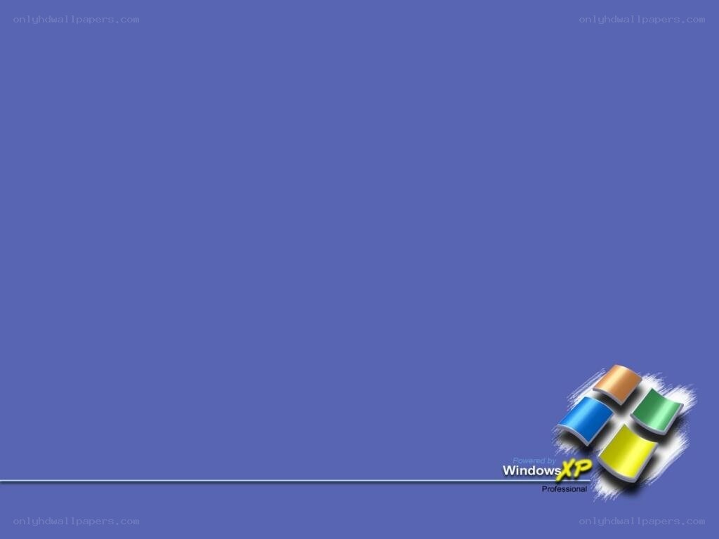 Windows XP Professional desktop
