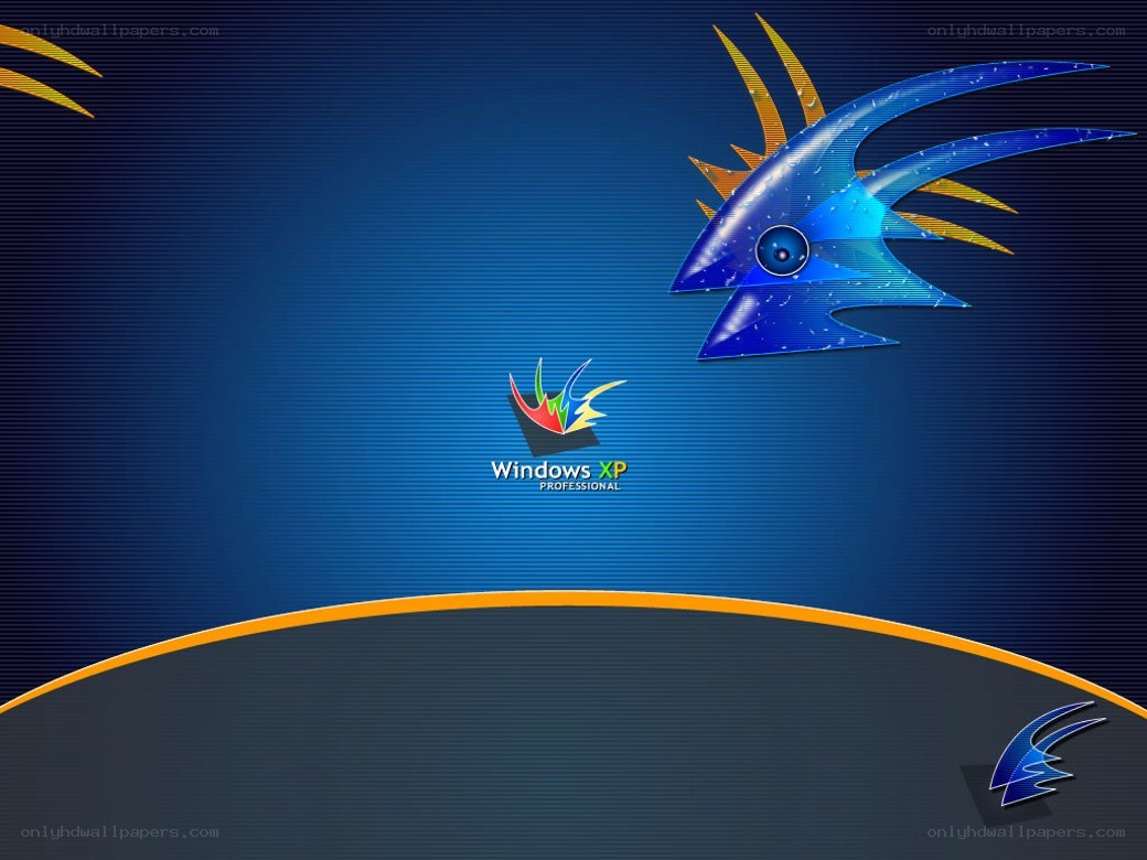 Windows XP Professional desktop