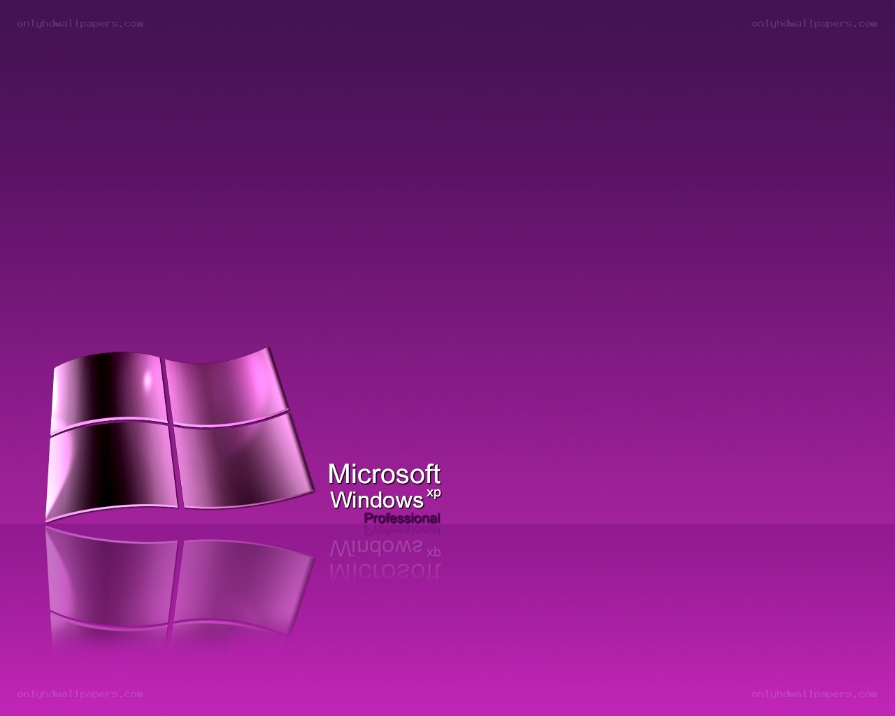 Windows XP Professional desktop
